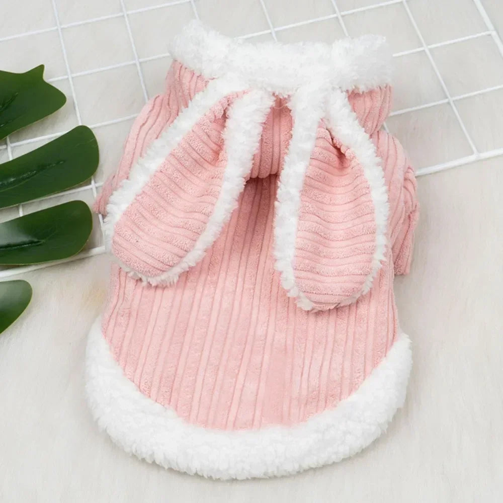 Liebenswerte Katzenkleidung für Haustiere, Herbst und Winter, kleiner Hund, Kätzchen, zweibeinige Kleidung, warme Kleidung für Katzen und Welpen, Haustierkostüm, haarlose Katze