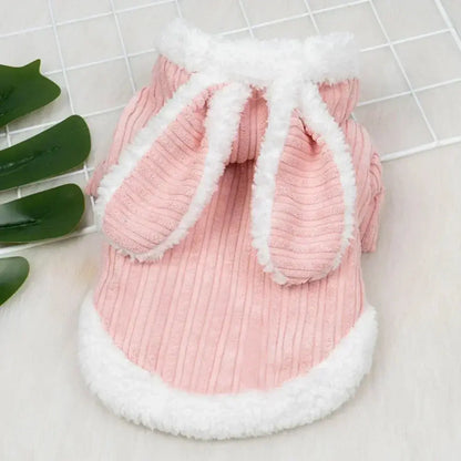 Winter Haustierkleidung Petoria