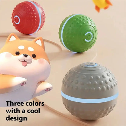 USB-aufladbarer interaktiver Spielball für Hunde Petoria