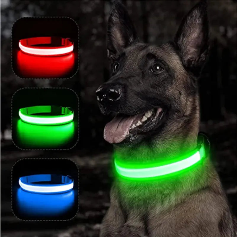USB-aufladbares LED-Leuchthalsband für Hunde und Katzen Petoria