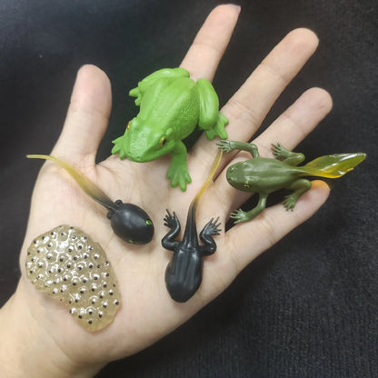 🐸 Petoria™ Tier-Lebenszyklus Lernset