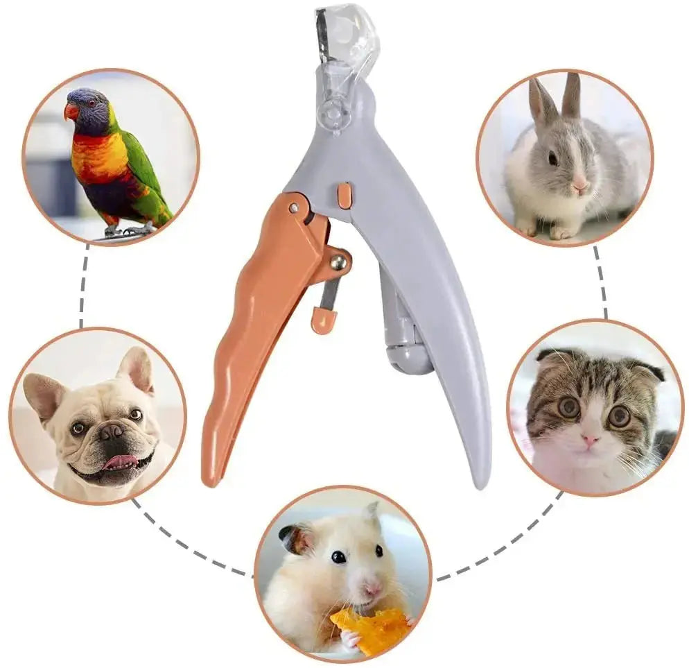 Krallenschere für Hunde und Katzen mit LED-Licht Petoria