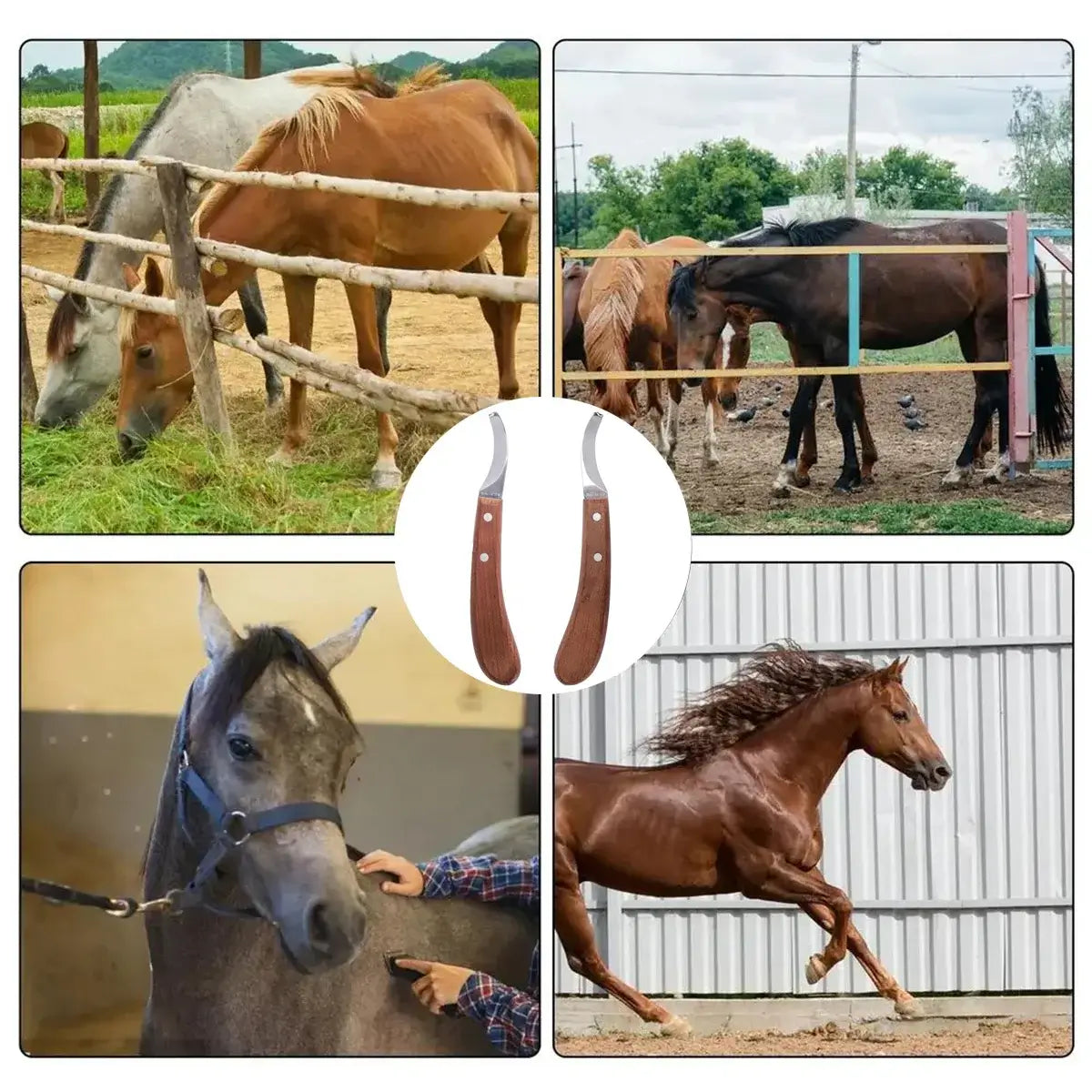 🛠️ Petoria™ Edelstahl Hufmesser