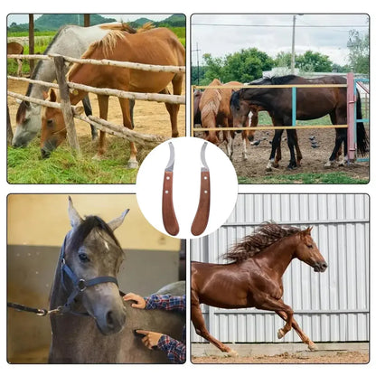 🛠️ Petoria™ Edelstahl Hufmesser