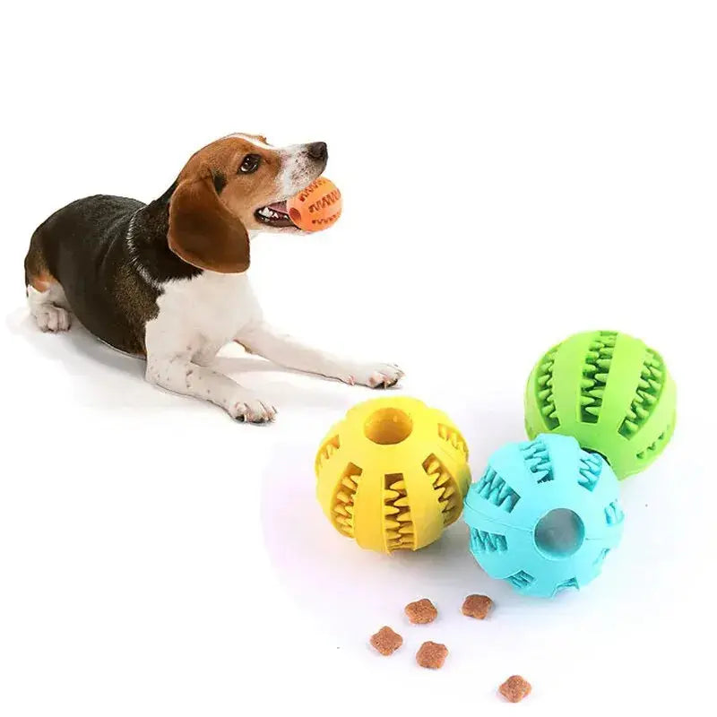 Bissfester Spiel- und Zahnpflegeball für Hunde Petoria