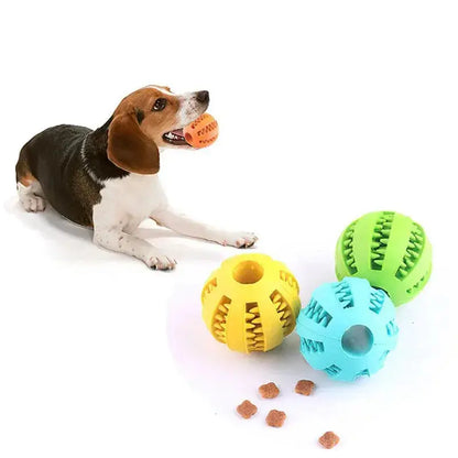 Bissfester Spiel- und Zahnpflegeball für Hunde Petoria