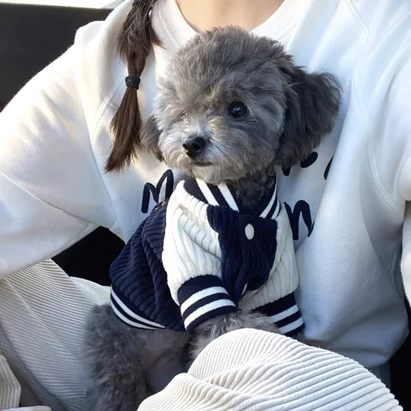 Niedliche bestickte Haustier-Baseballjacken, Hundekleidung für kleine und mittelgroße Katzen, Teddy-Mantel, Welpen-Frühlingskleidung, warmes, modisches Haustier-Outfit
