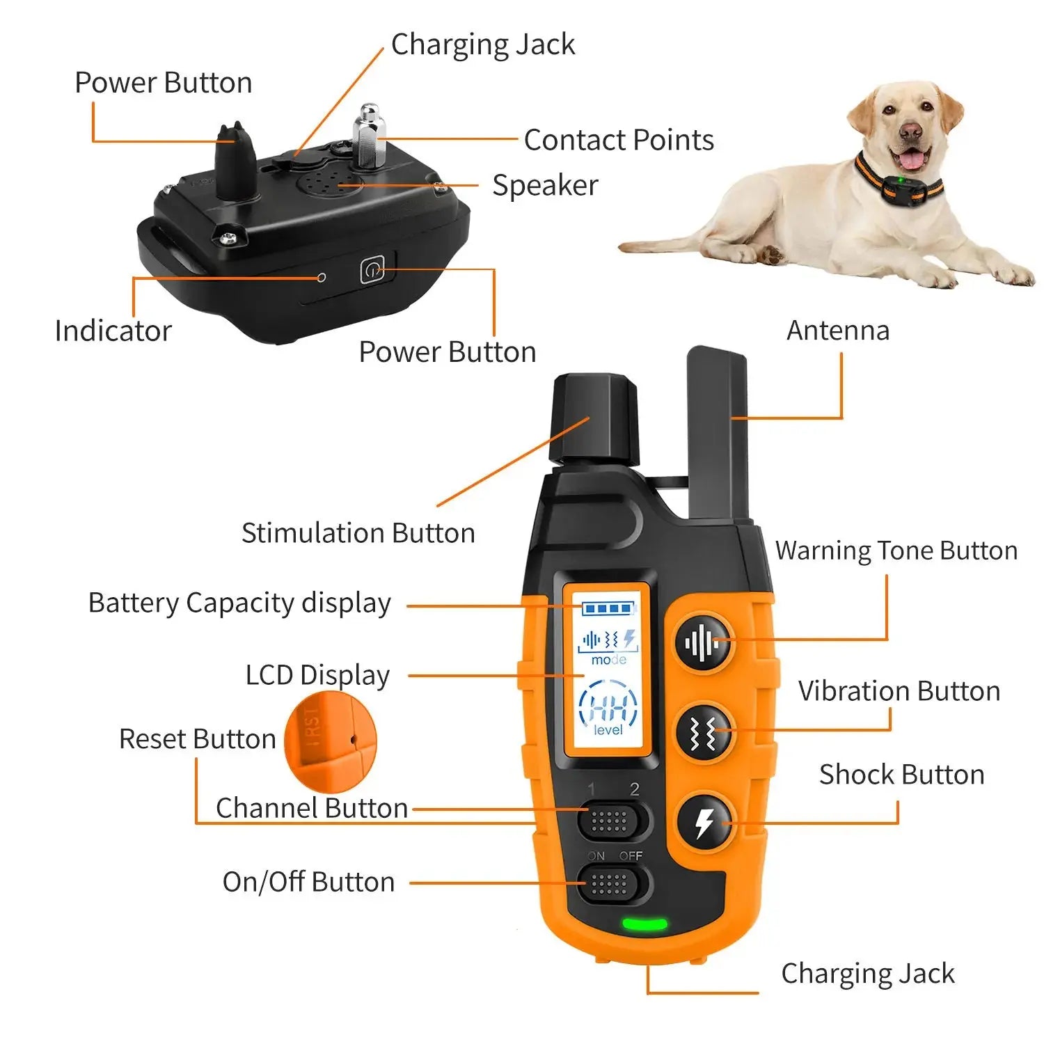 Hundetrainingshalsband mit Fernbedienung Petoria