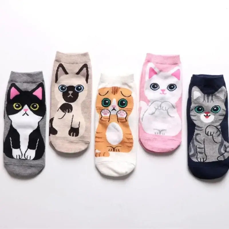 Katzen Socken Set