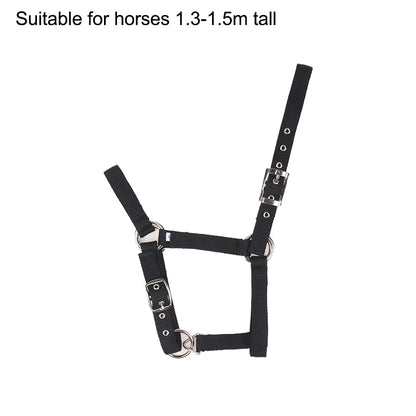 Pferdehalfter aus Nylon für Reitsport