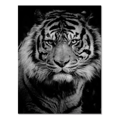 Canvas Painting Animal Wall Art Lion Elephant Deer Zebra Posters and Prints Wall Pictures for Living Room Decoration Home Decor Petoria Store
