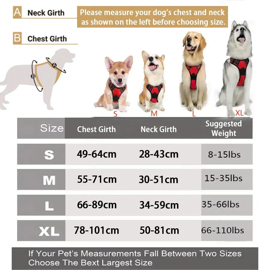 Reflektierendes Anti-Zug-Hundegeschirr mit Frontclip Petoria