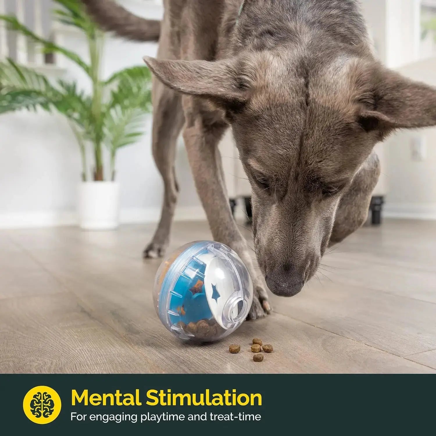 Interaktiver Plüsch-Spielball für Hunde Petoria