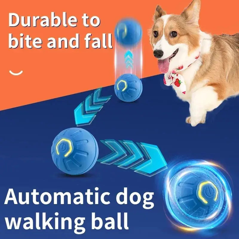 Interaktiver elektrischer Spielball für Hunde Petoria