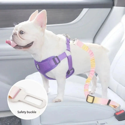 🐾 Petoria® Elastischer Autosicherheitsgurt für Hunde &amp; Katzen – Stoßdämpfender Sicherheitsgurt Petoria