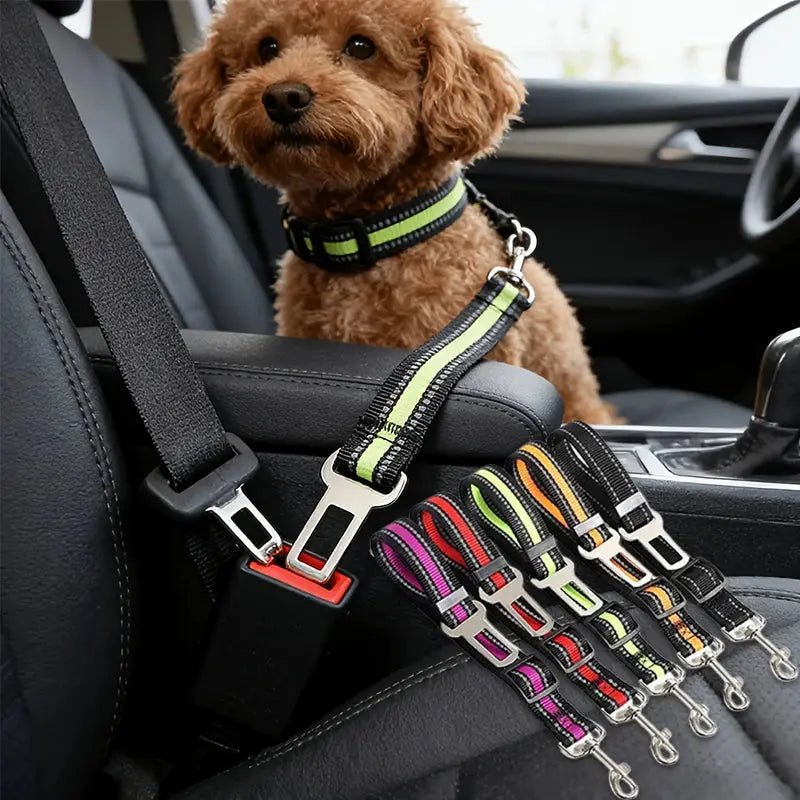 🐾 Petoria® Premium Autosicherheitsgurt für Hunde &amp; Katzen – Verstellbarer Sicherheitsgurt fürs Auto Petoria