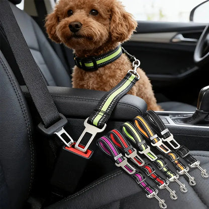 🐾 Petoria® Premium Autosicherheitsgurt für Hunde &amp; Katzen – Verstellbarer Sicherheitsgurt fürs Auto Petoria
