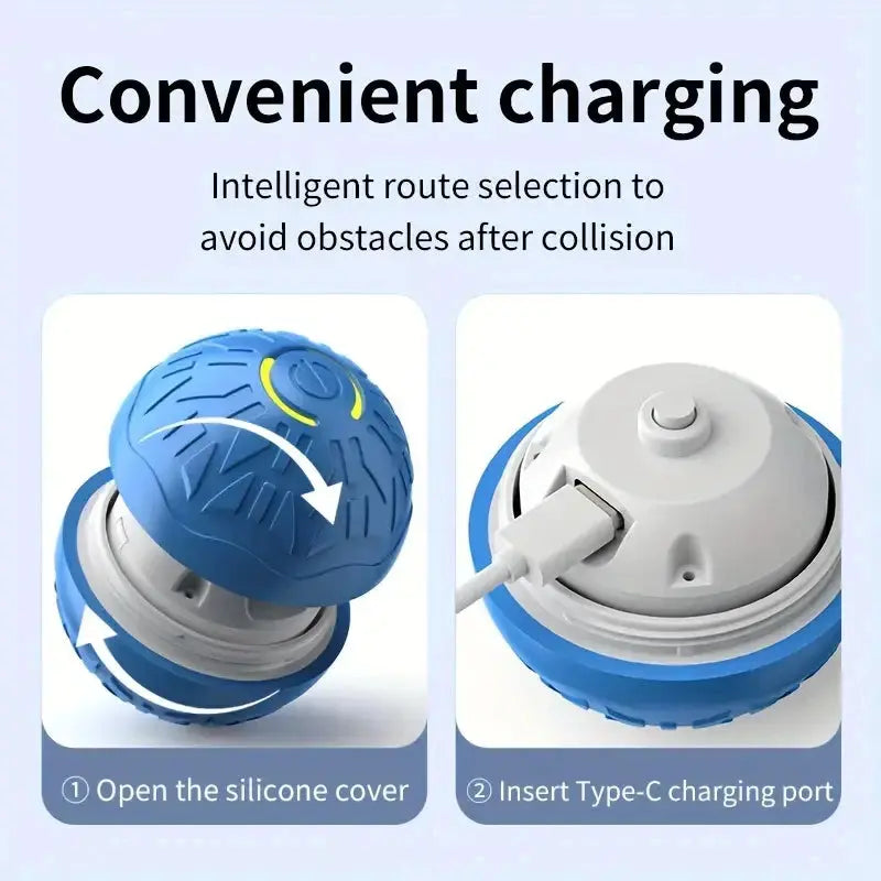 USB-aufladbarer interaktiver Spielball für Hunde Petoria