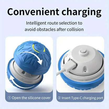 USB-aufladbarer interaktiver Spielball für Hunde Petoria