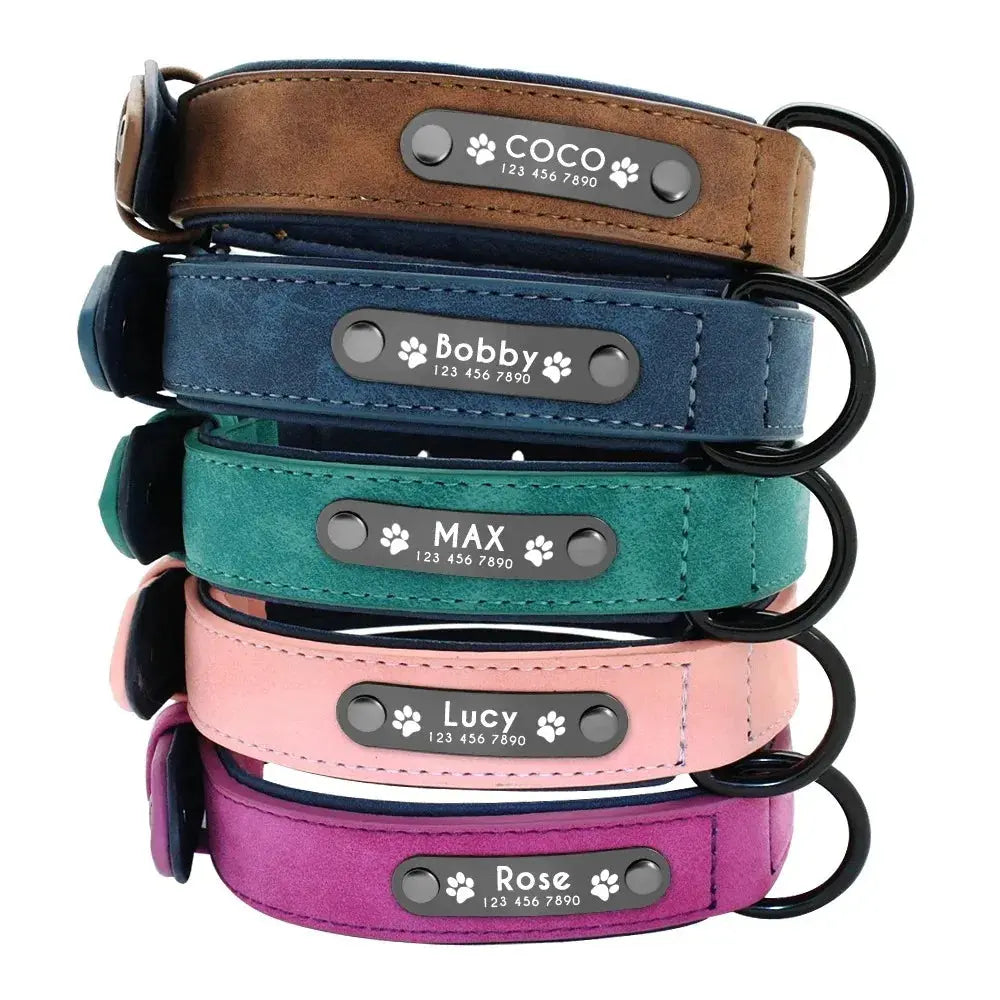 Personalisiertes Leder-Hundehalsband mit Namensschild Petoria