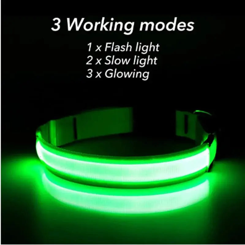 USB-aufladbares LED-Leuchthalsband für Hunde und Katzen Petoria