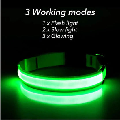 USB-aufladbares LED-Leuchthalsband für Hunde und Katzen Petoria