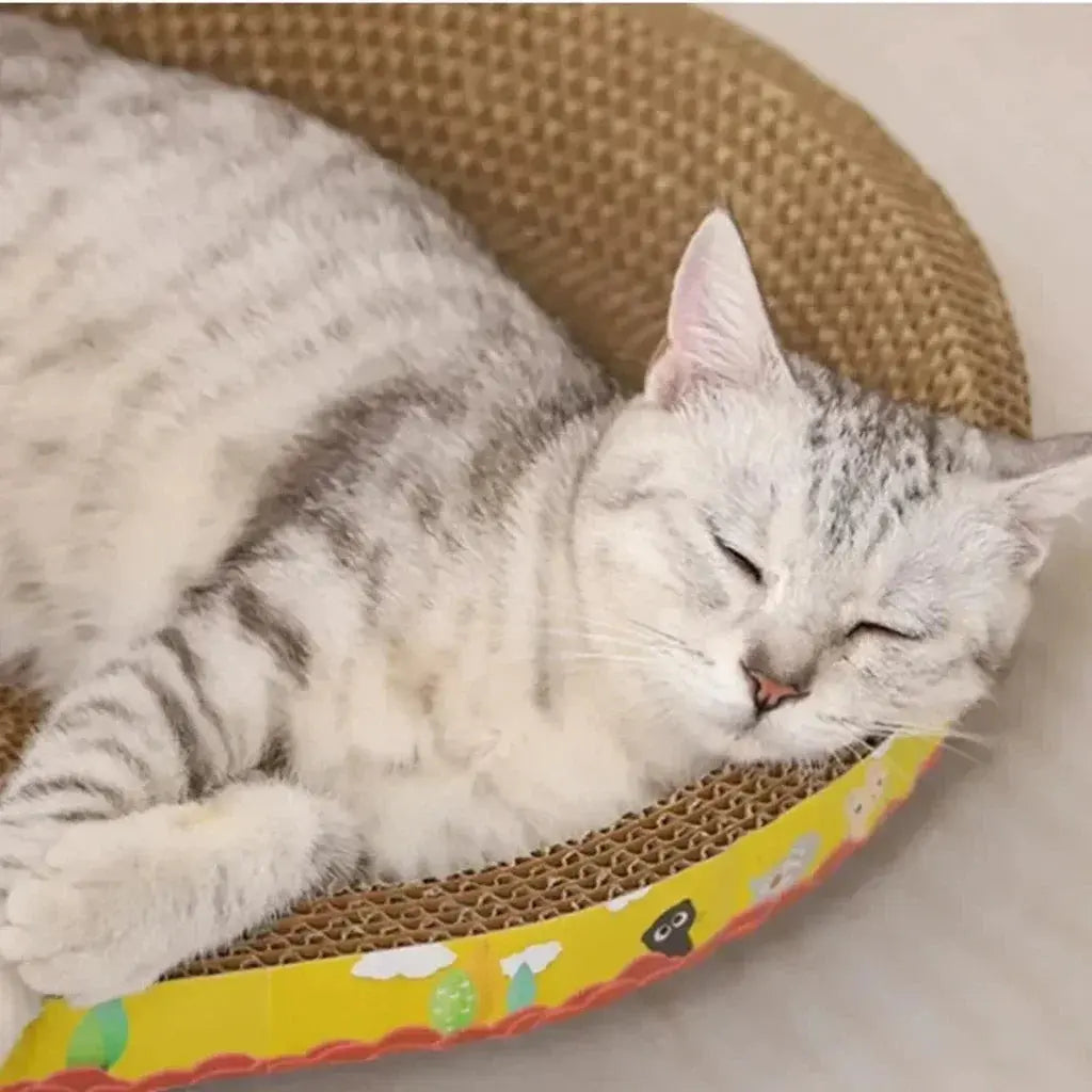 Katzen Kratzbrett Wellpappe Petoria