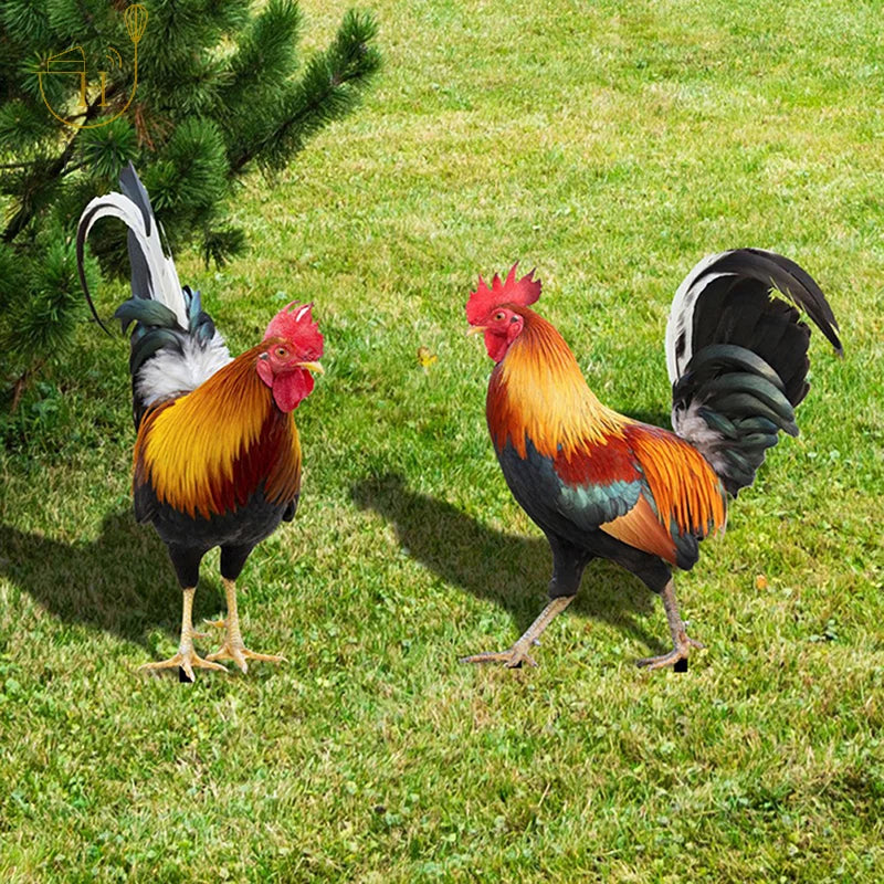 Garden Rooster Statue Chicken Sculpture For Yard Decor Weatherproof Hen Figurine For Patio Backyard Home Outdoor Decoration Petoria Store