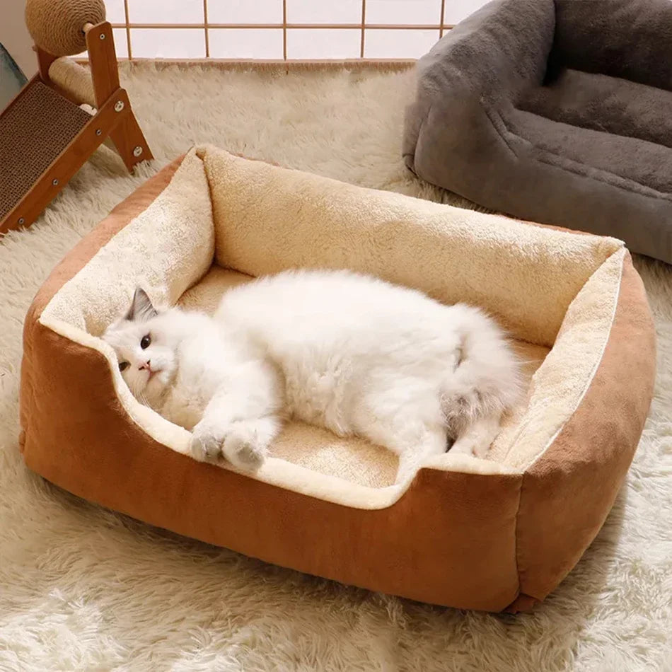Bett für Katzen, Heimtierprodukte, Kissen, Kätzchenwaren, Zubehör, Hund, alle Häuser, Zubehör, Dinge, Zubehör, Lebensräume, Korb, Hausbetten
