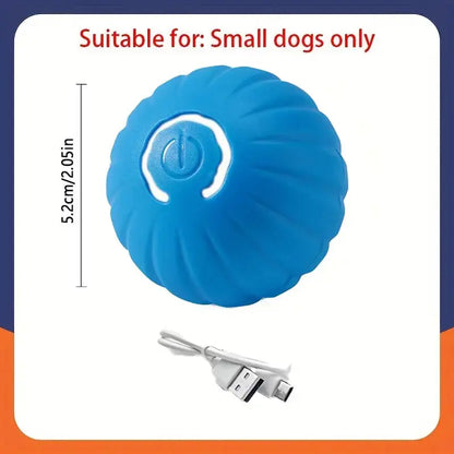 USB-aufladbarer interaktiver Spielball für Hunde Petoria