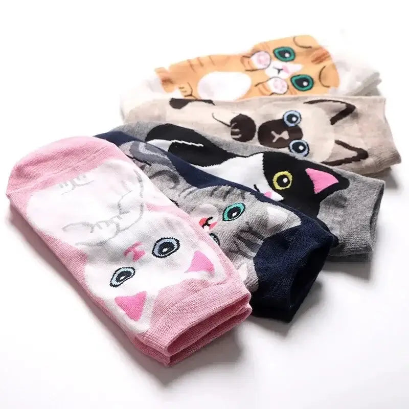 Katzen Socken Set