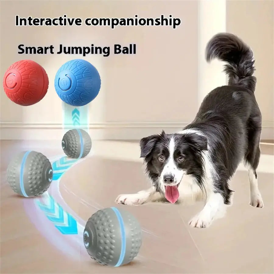 USB-aufladbarer interaktiver Spielball für Hunde Petoria