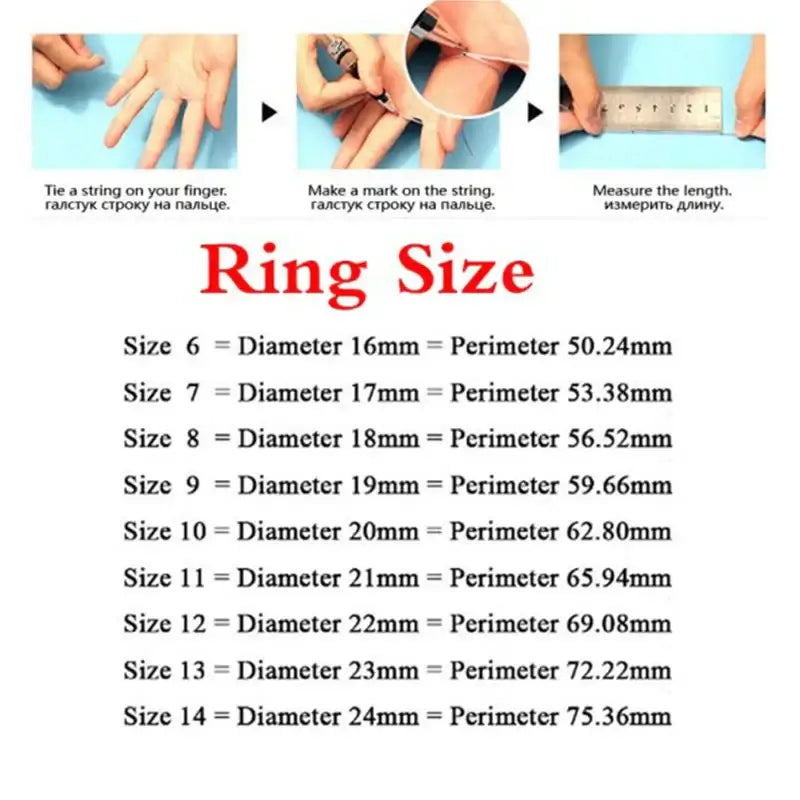 🕷️ Petoria™ Edelstahl Spinnenring