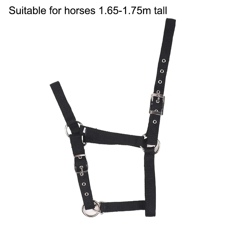 Pferdehalfter aus Nylon für Reitsport