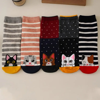 Katzen Baumwollsocken Set