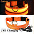 USB-aufladbares LED-Leuchthalsband für Hunde und Katzen Petoria