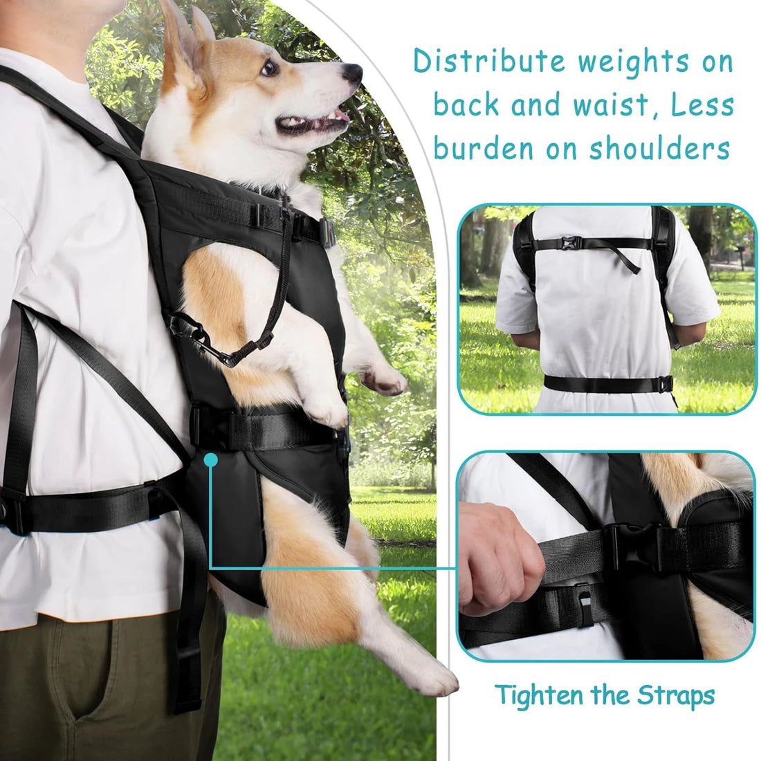 🐾 Petoria® Premium Hunde-Tragerucksack – Ergonomische Tragetasche für kleine Hunde &amp; Katzen