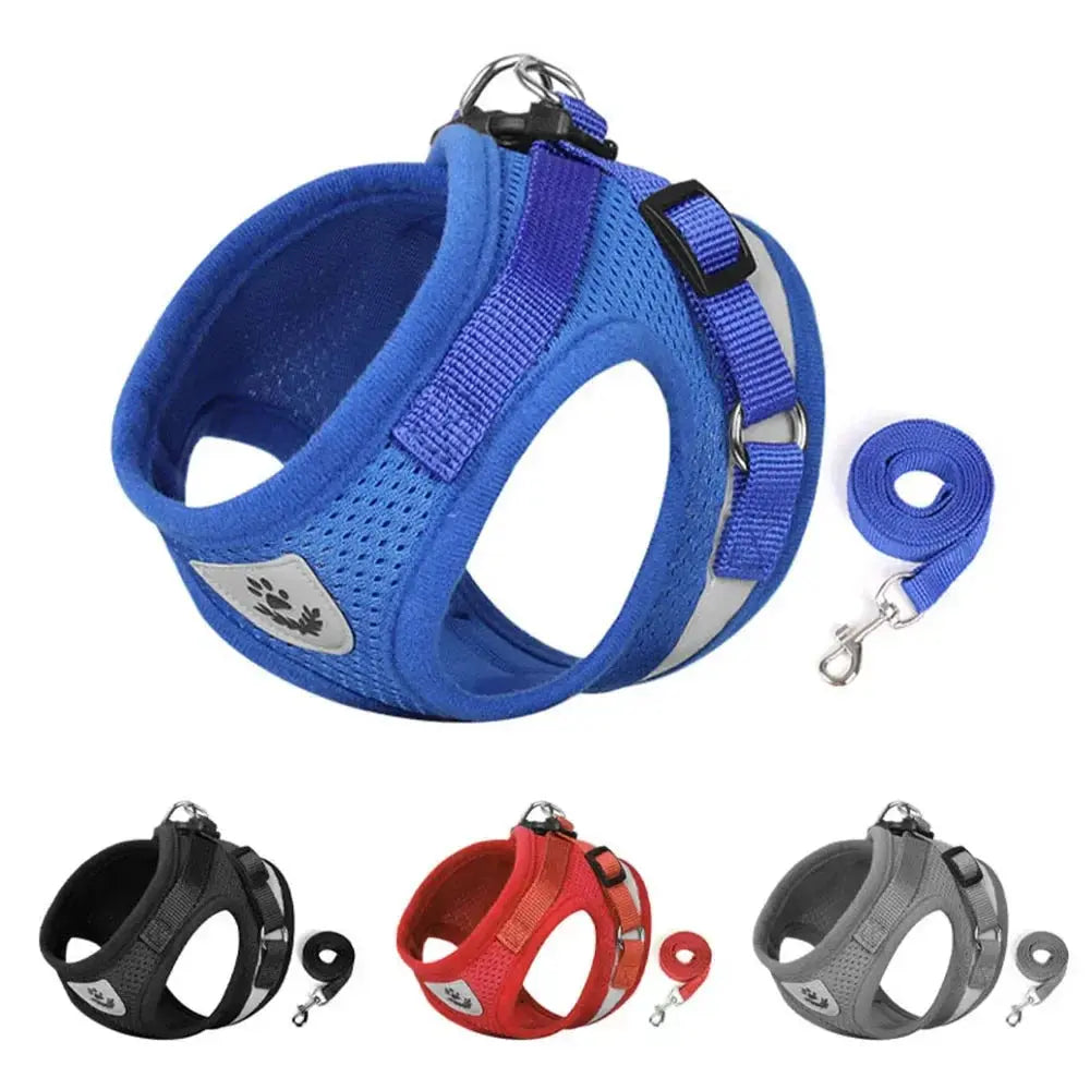 Verstellbares katzengeschirr set mit leine Petoria