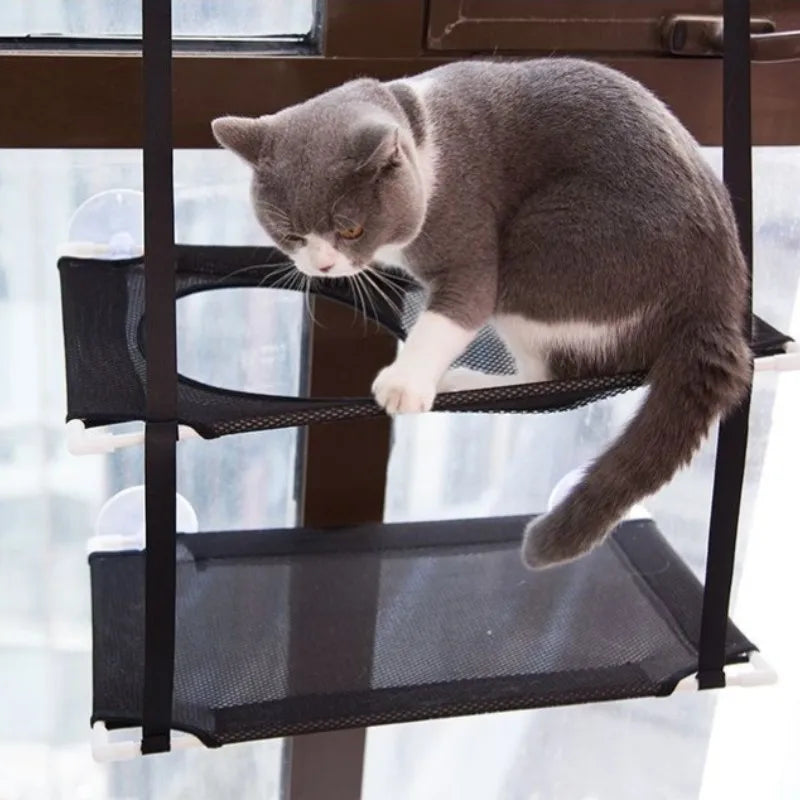 Katzenbett mit Saugnapf für Fenster Premium