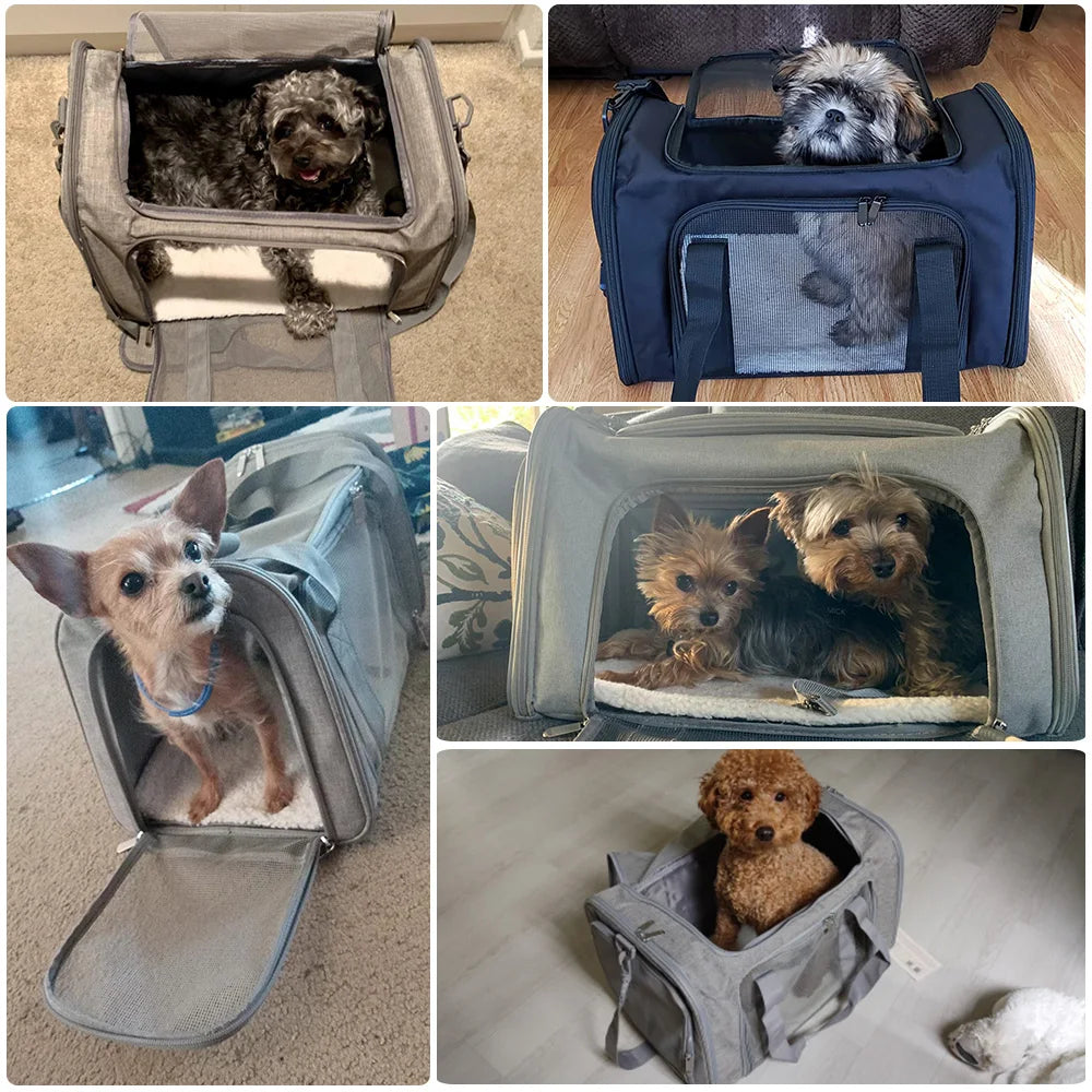 Petoria® Premium Haustier-Tragetasche für Hunde &amp; Katzen – Faltbar