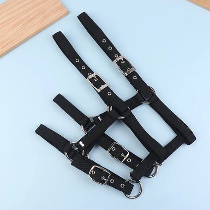 Pferdehalfter aus Nylon für Reitsport