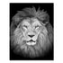Canvas Painting Animal Wall Art Lion Elephant Deer Zebra Posters and Prints Wall Pictures for Living Room Decoration Home Decor Petoria Store