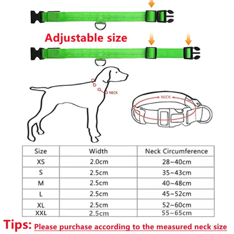 USB-aufladbares LED-Leuchthalsband für Hunde und Katzen Petoria