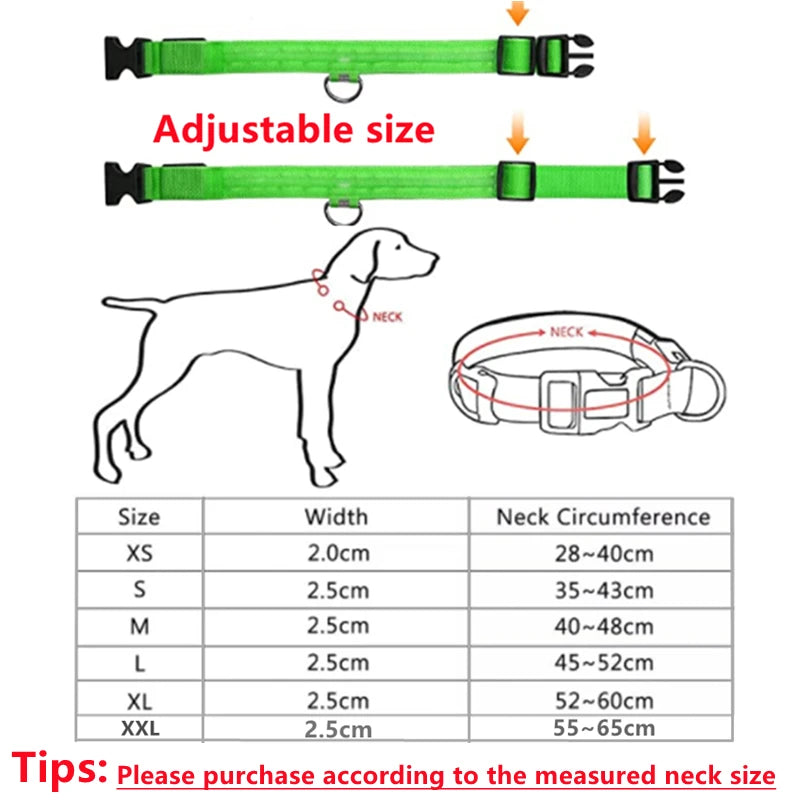 USB-Aufladbares Leuchtendes Halsband Verstellbares LED-Leuchthalsband für Große und Kleine Hunde Katzen Nachtlicht-Halsband Haustier-Sicherheitsgeschirr