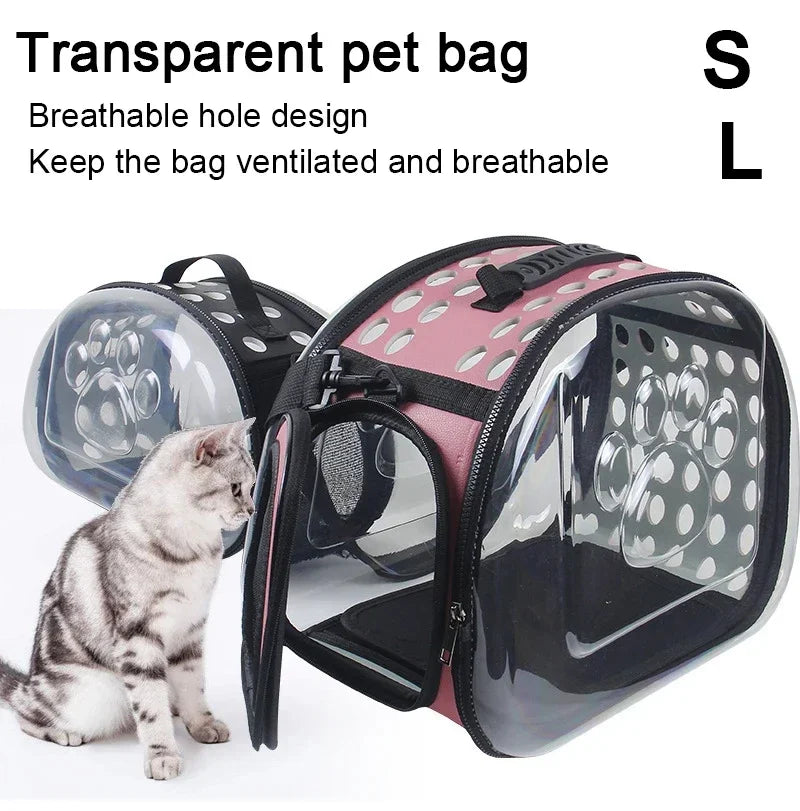 🐾 Petoria® Premium Transparente Haustier-Tragetasche für Hunde &amp; Katzen – Faltbar, Atmungsaktiv &amp; Reisefreundlich