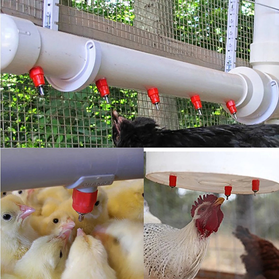 Tränkenippel für Geflügel – Automatisch, 10 Stück