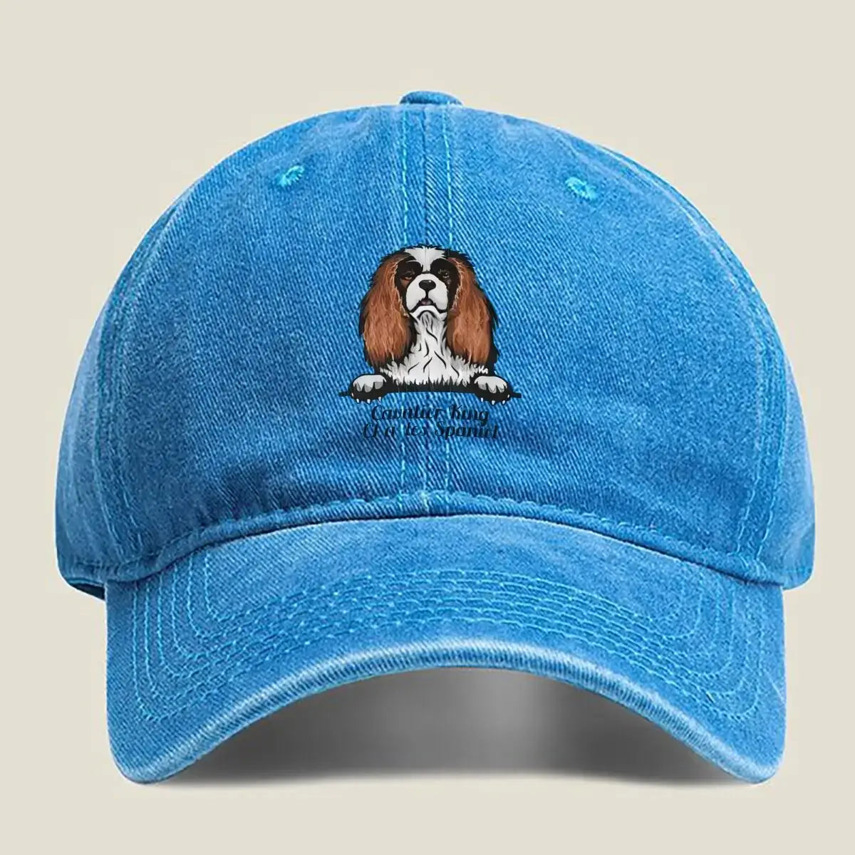 Cavalier King Charles Baseballkappe – Vintage Unisex Cap