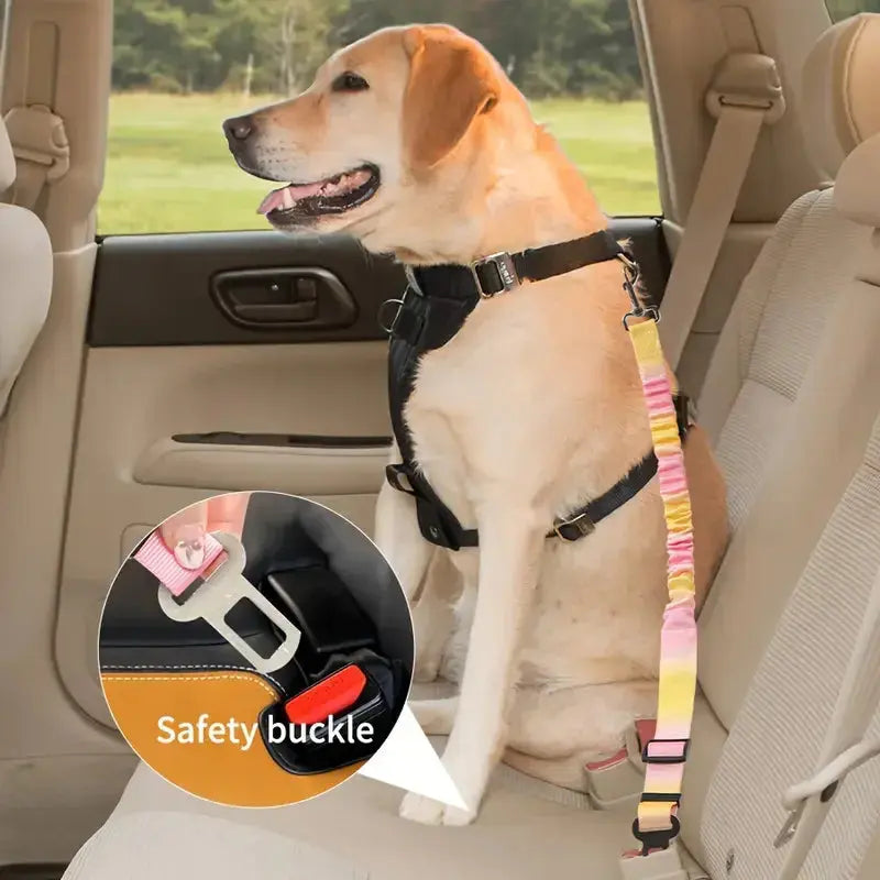 🐾 Petoria® Elastischer Autosicherheitsgurt für Hunde &amp; Katzen – Stoßdämpfender Sicherheitsgurt Petoria