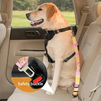🐾 Petoria® Elastischer Autosicherheitsgurt für Hunde &amp; Katzen – Stoßdämpfender Sicherheitsgurt Petoria