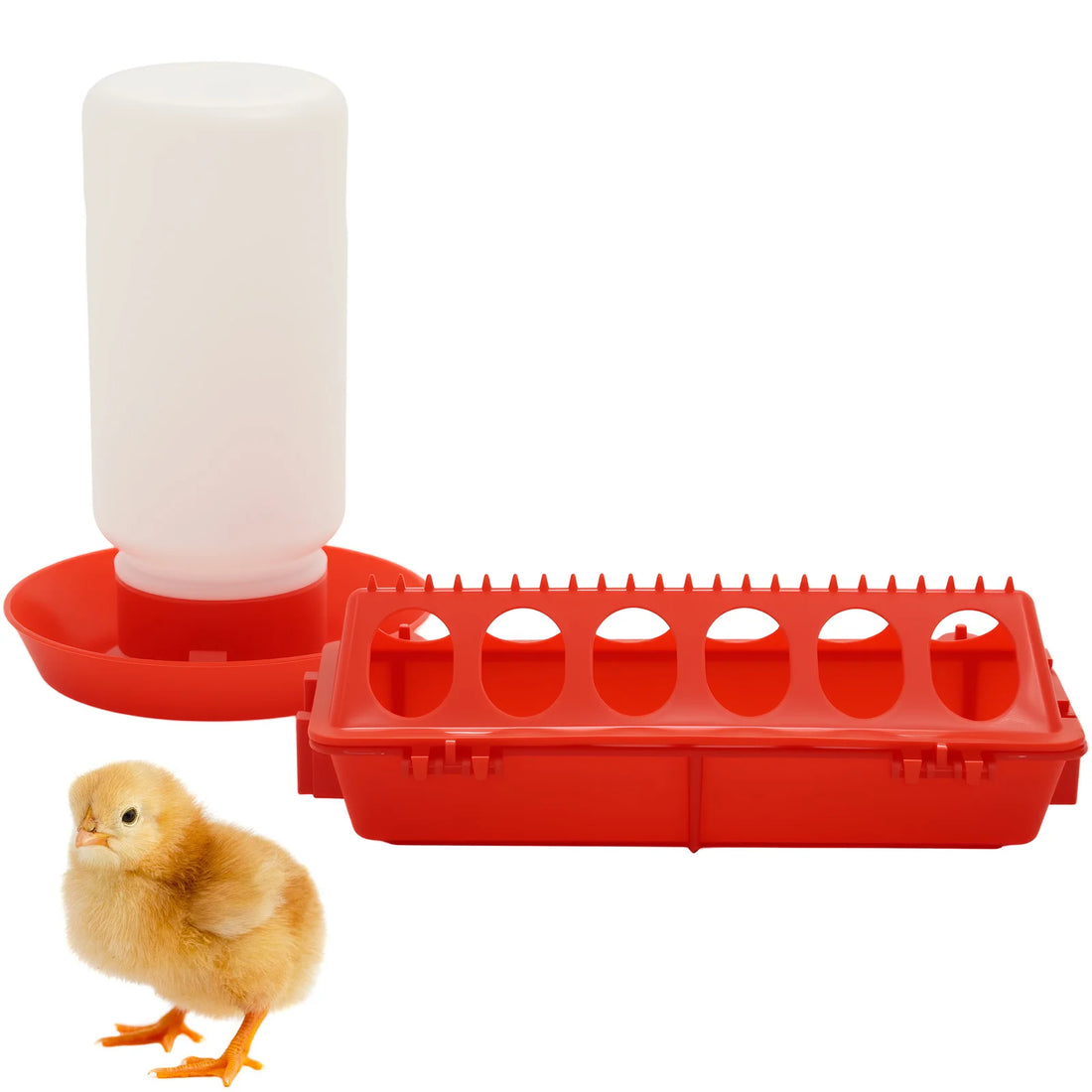 Wasserspender für Küken und Wachteln